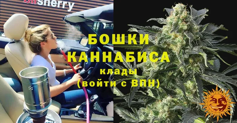 МАРИХУАНА SATIVA & INDICA  Нолинск 